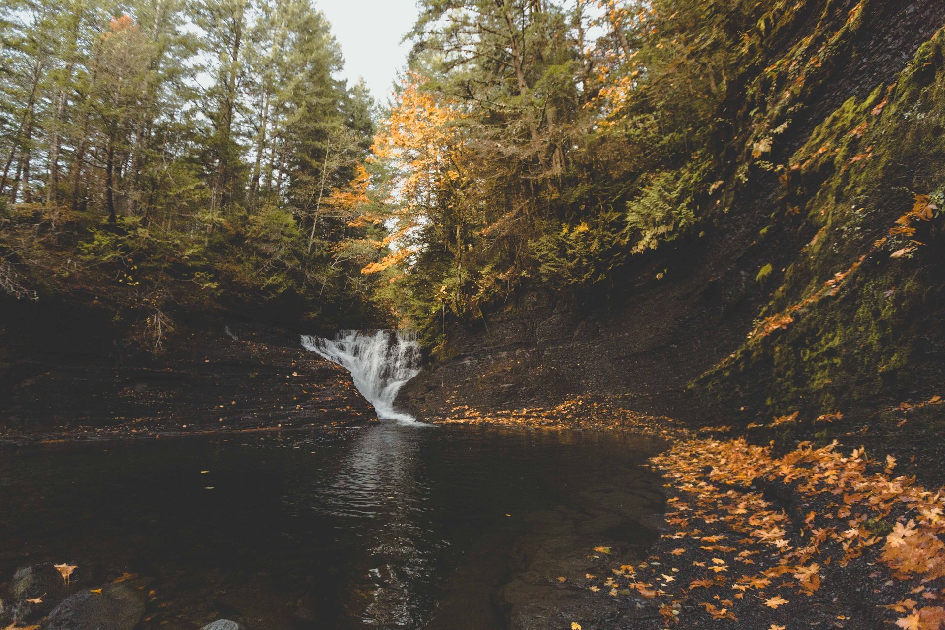 A waterfall in an autumn forest canyon